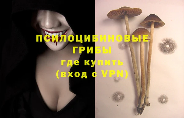 ALPHA-PVP Алексин