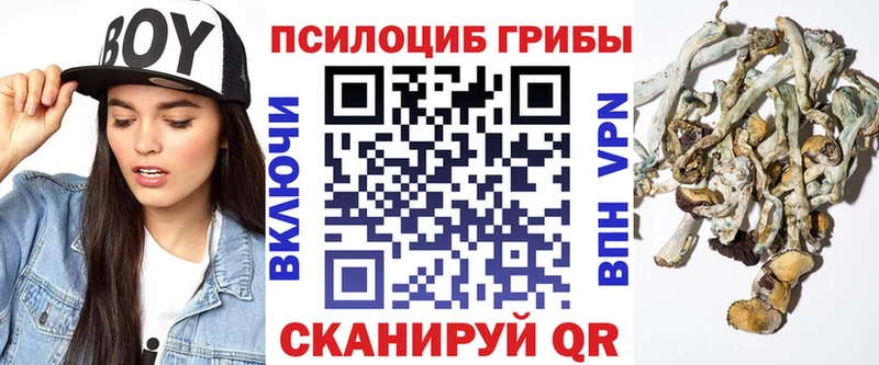 Псилоцибиновые грибы мухоморы  как найти   Менделеевск 